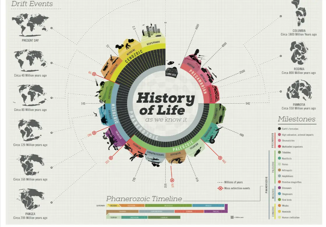 History-of-Life-Behance